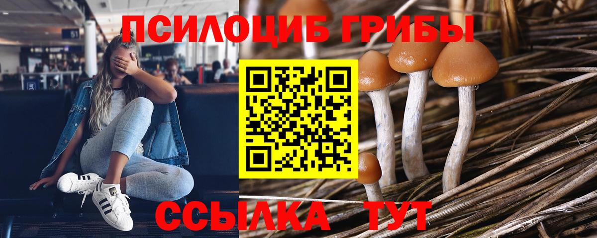 Лесосибирск  Галлюциногенные грибы Psilocybine cubensis  Псилоцибиновые грибы прущие грибы  Вход с VPN 