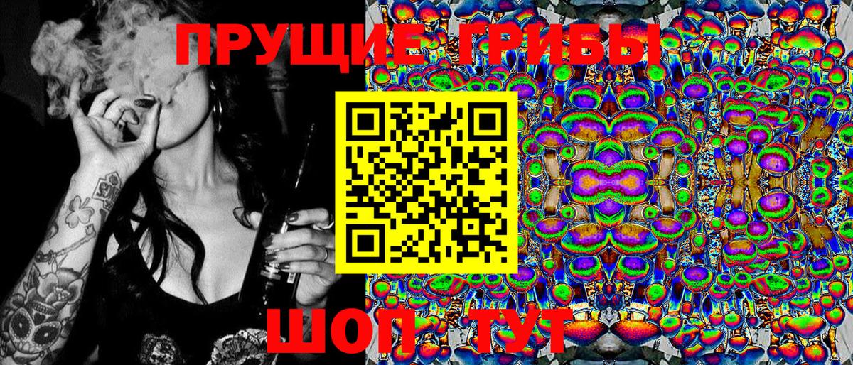 Псилоцибиновые грибы мицелий Лесосибирск