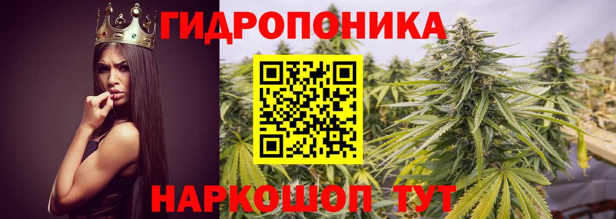 Лесосибирск  Конопля White Widow  Вход с VPN  Бошки Шишки Amnesia 